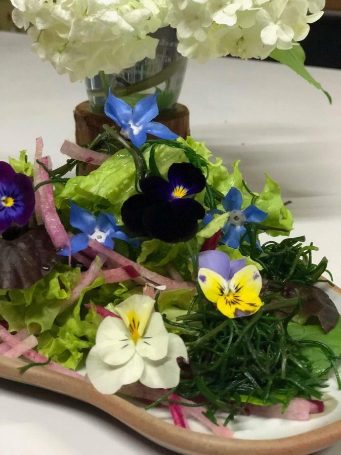 Ichinokurasou Hotel Hakuba Eksteriør billede